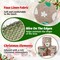 5 Colors Wreaths Burlap Ribbon- Total 27.3yards Christmas Xmas Wired Edge Ribbon for Gift Wrapping Bows Rustic Crafts Supplies Weddings Holiday Decorations - 2.4in Wide